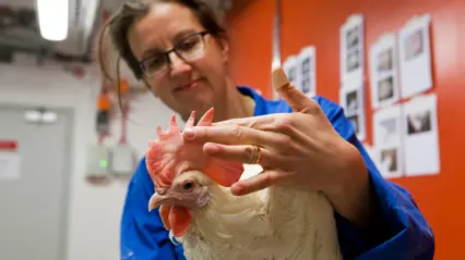 Helena Wall med en tupp. Foto Jenny Svennås-Gillner.