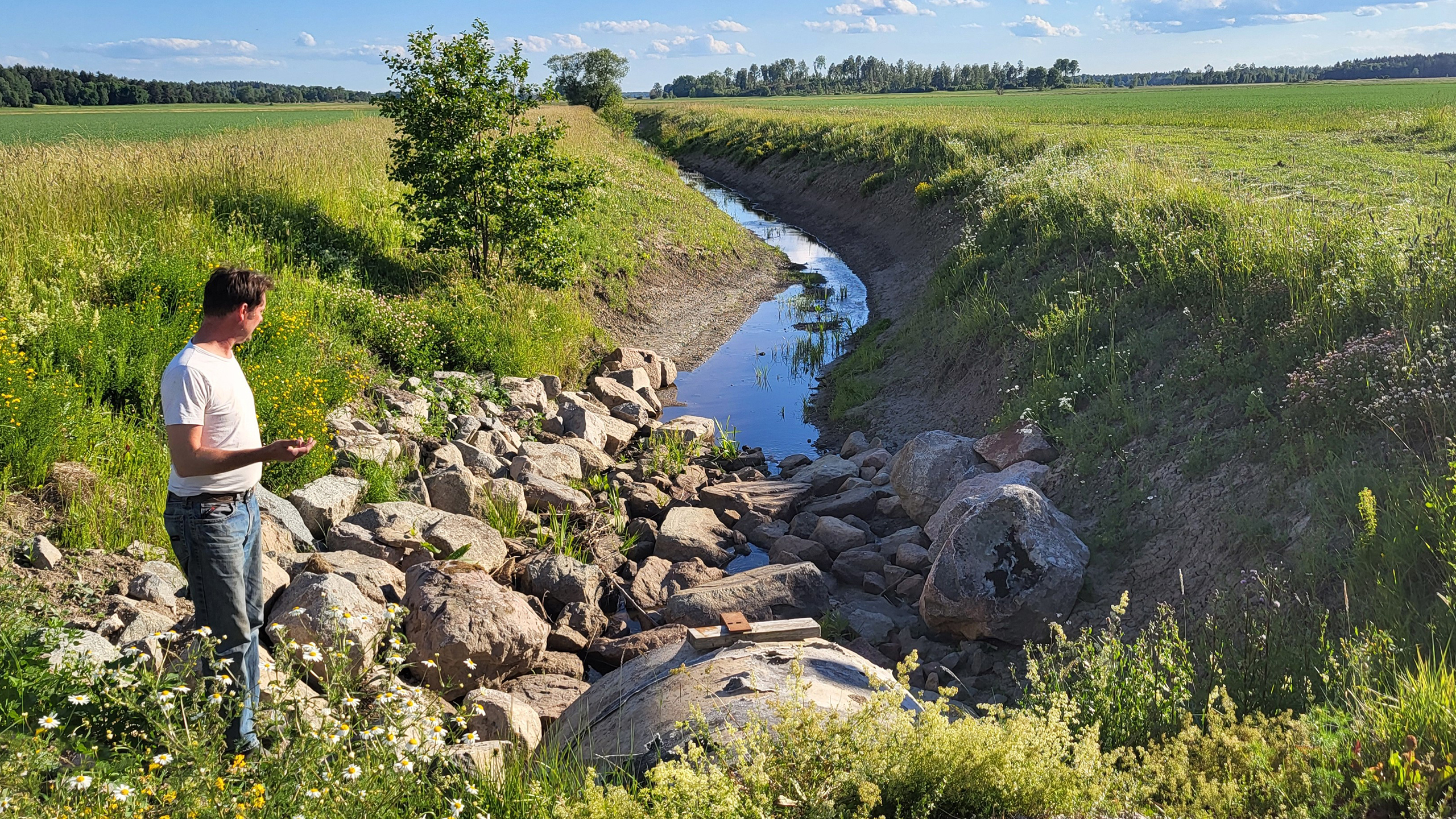 En person står vid ett dike mellan två fält.