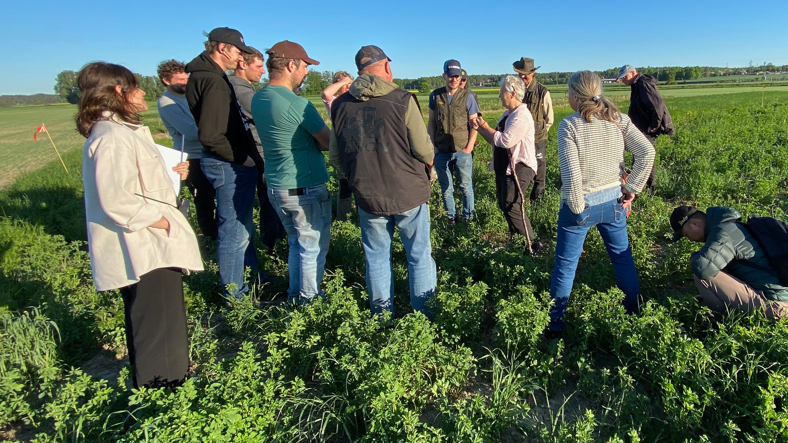A group of people standing on a green field listening to something talking and showing something.