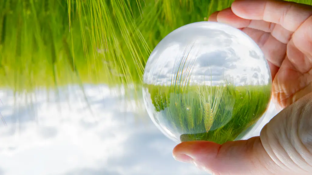 En hand håller en glaskula på ett grönt sädesfält. I kulan speglas sädesax in.