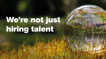 Glass ball on mossy stone in the forrest.