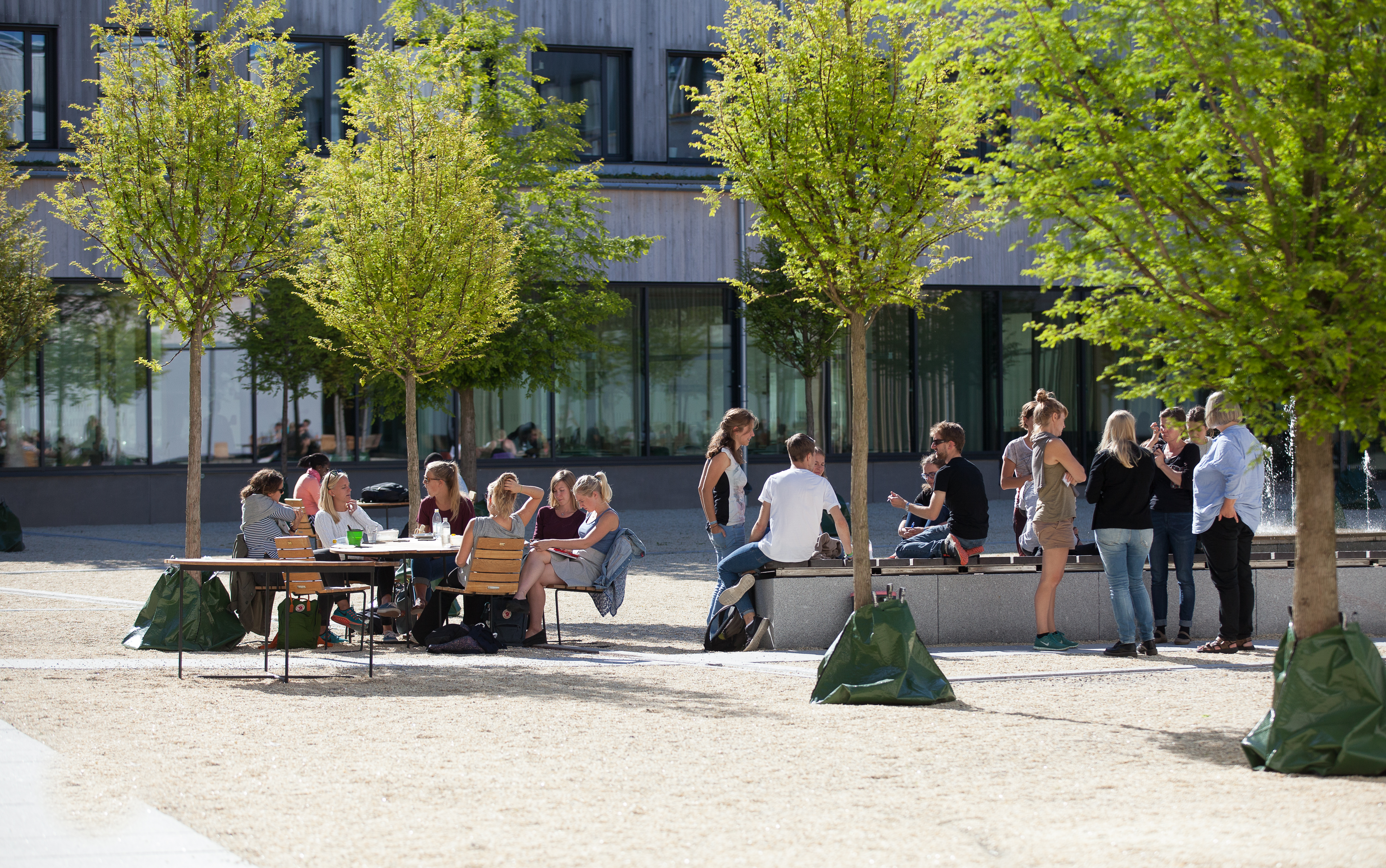 Studenter på Ulls innergård vid SLU i Uppsala. Foto: Jenny Svennås-Gillner