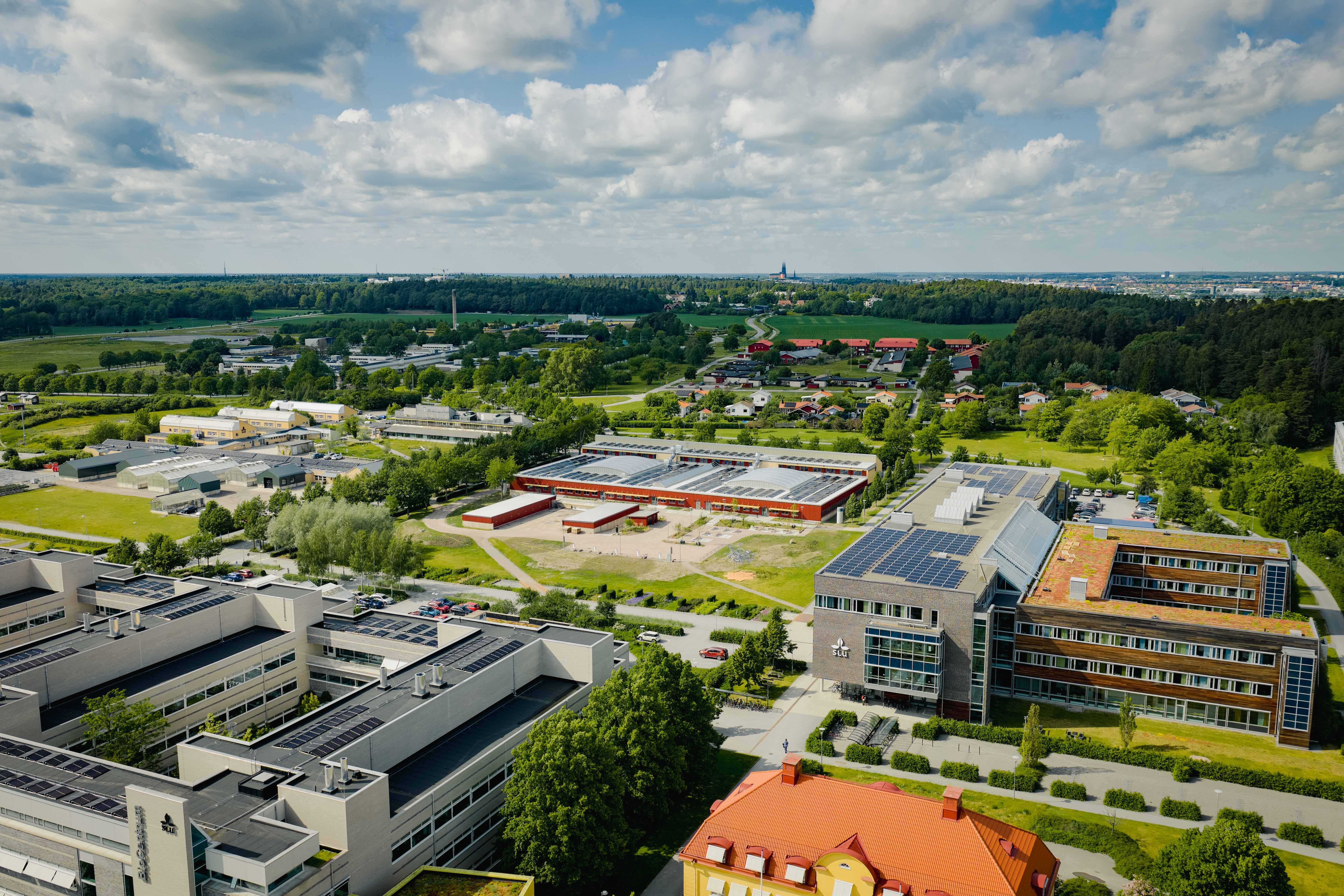 Solpaneler på SLU:s byggnader på Campus Ultuna. Foto: Akademiska hus
