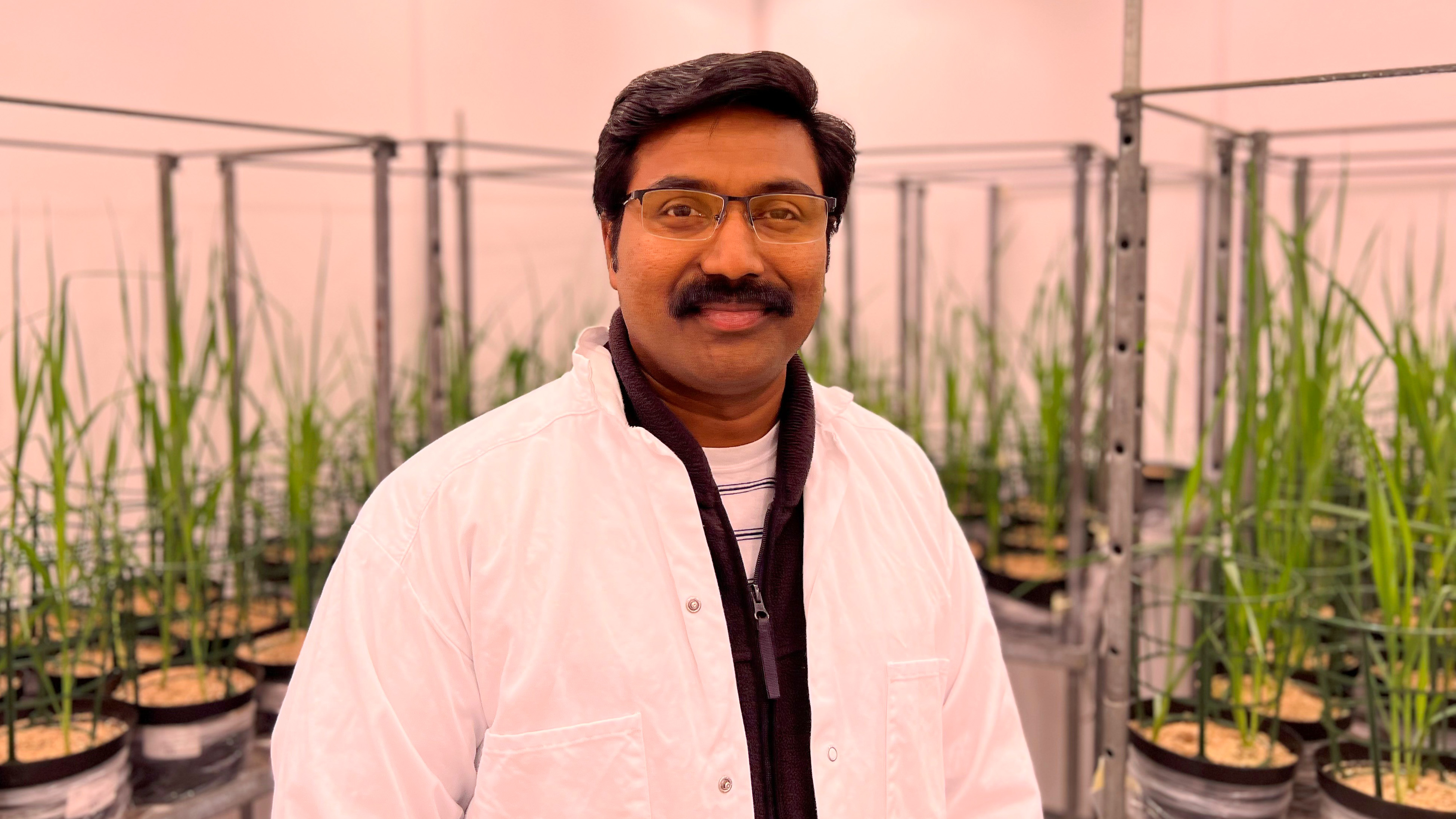 Sajeevan Radha Sivarajan. Foto: Johanna Grundström