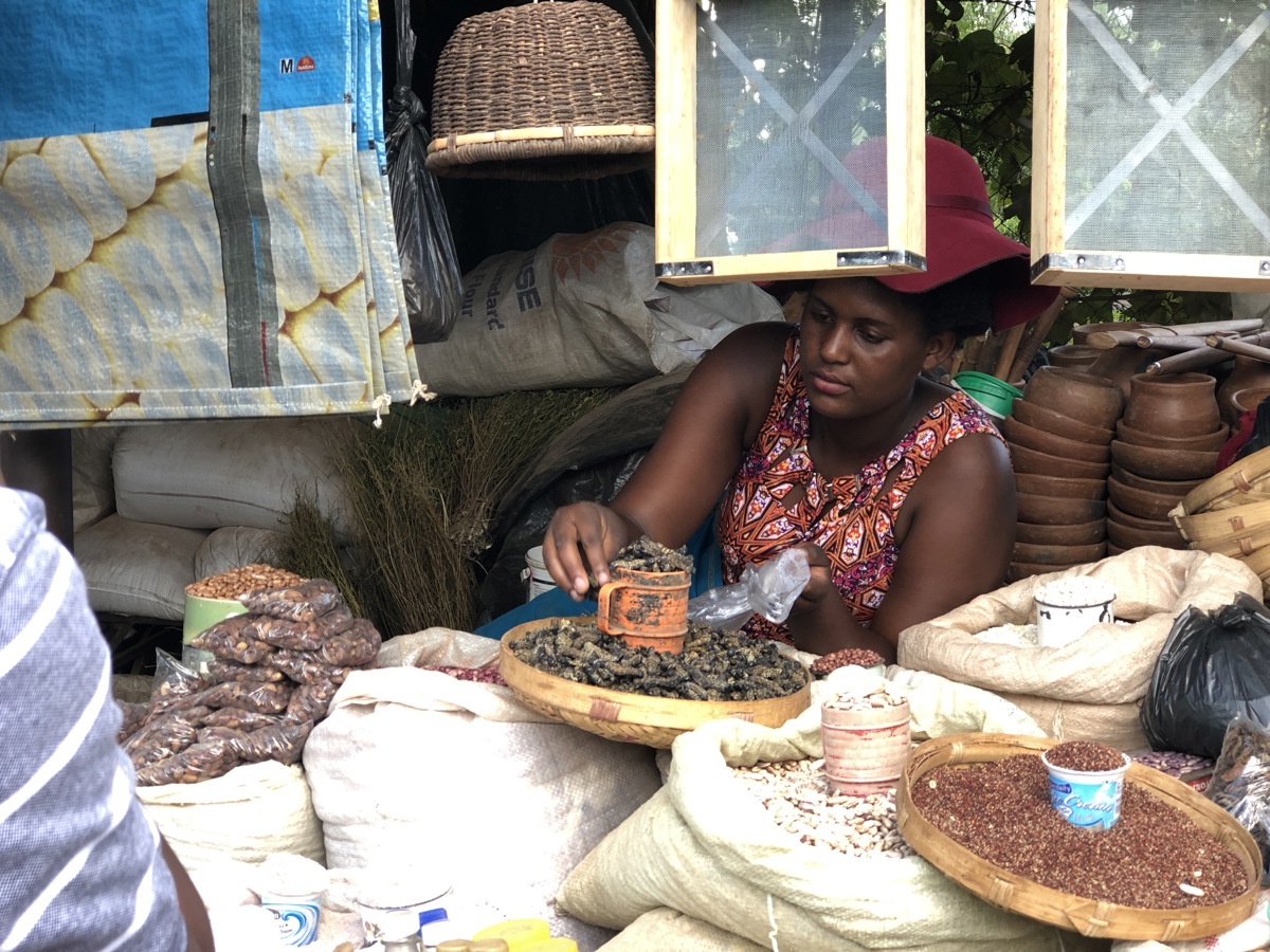 Communication drives change in the edible insect sector | slu.se