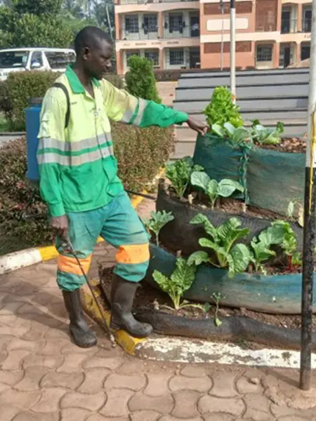 Man standing next to plants.
