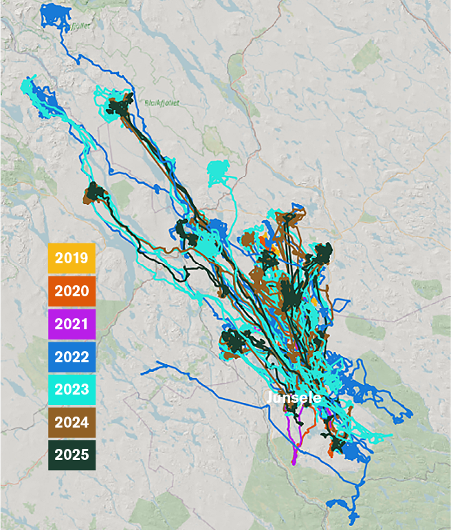 En karta över hur alla Junseleälgar gått under åren 2019-2025