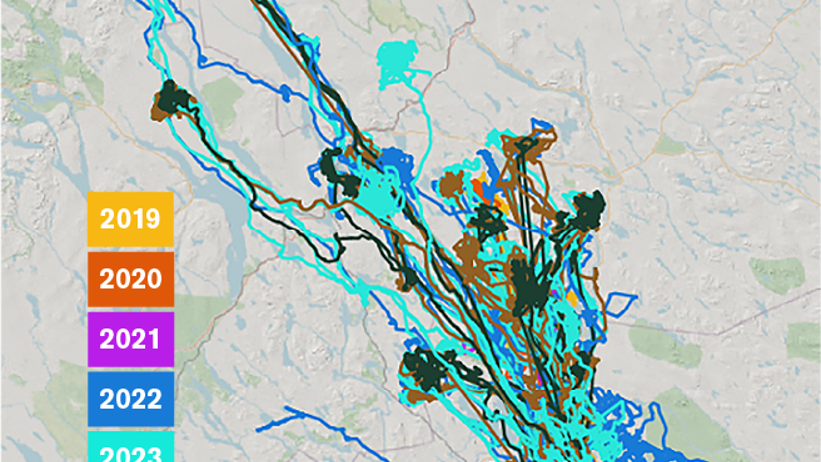 En karta över hur alla Junseleälgar gått under åren 2019-2025