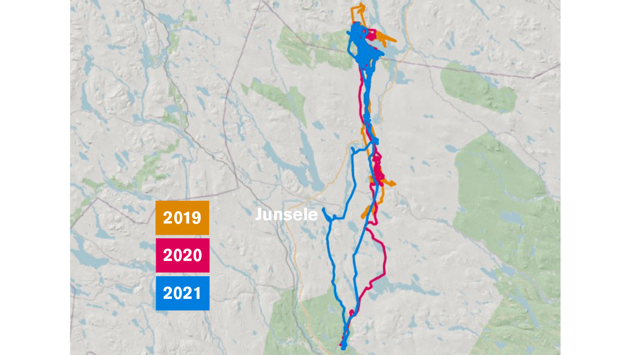 Vandringskarta över Junseleälgen känd som Ärrade damen