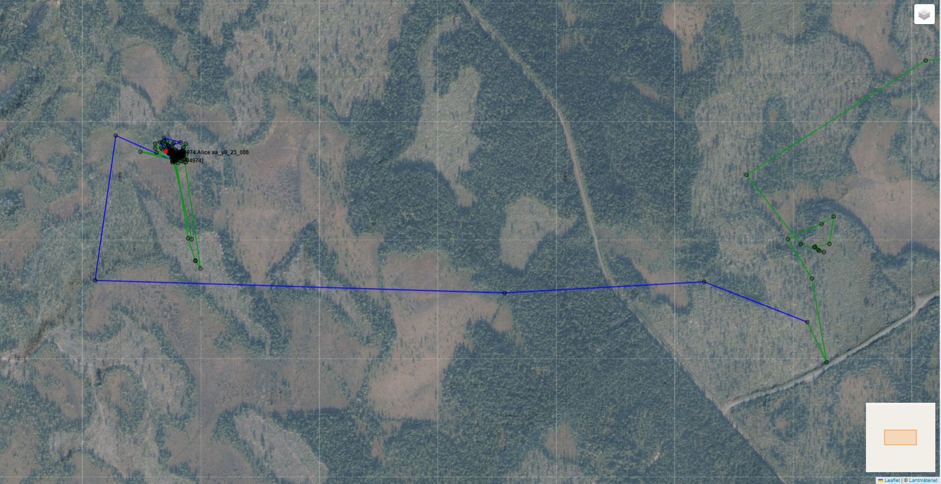 En karta som visar en älg som börjar gå i mindre områden vid kalvning