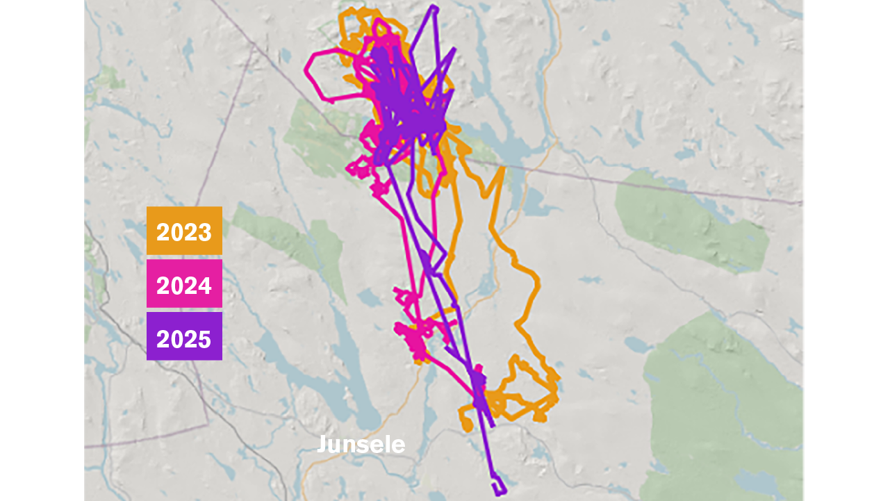 Nils-Allans vandringar 2023-2025