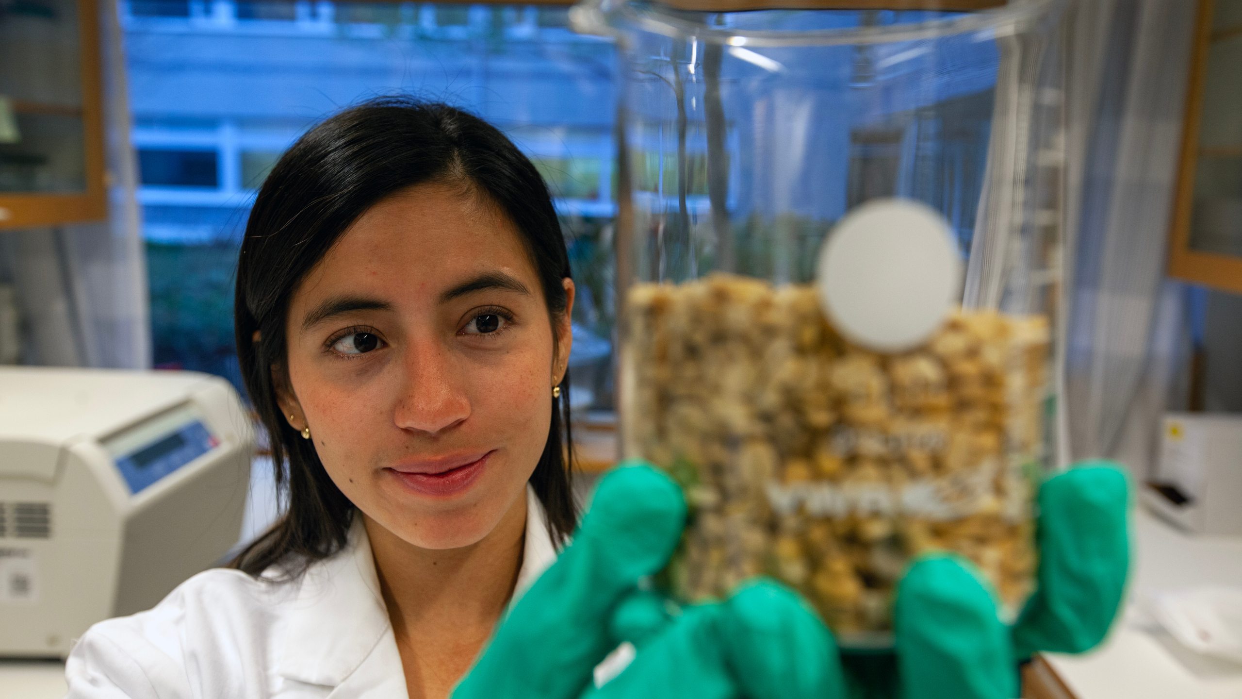 PhD student Alejandra Castaneda holds a jar of dried fava beans which she uses to make tempeh.