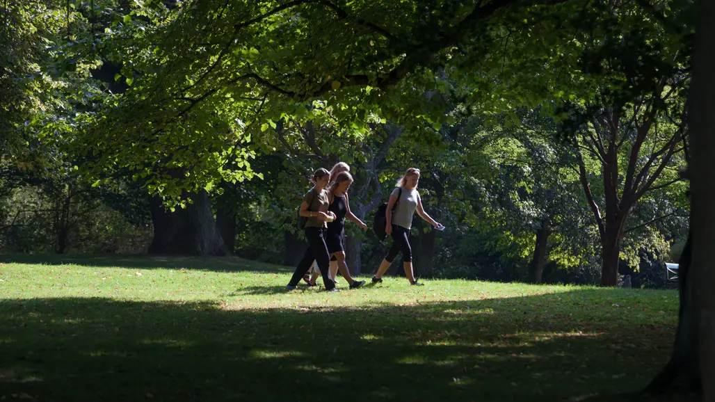 Students in the Alnarp park