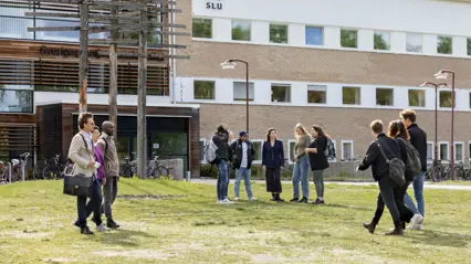 Studenter vid fakulteten för skogsvetenskap på SLU i olika miljöer i och utanför SLU-huset på Umeå campus.