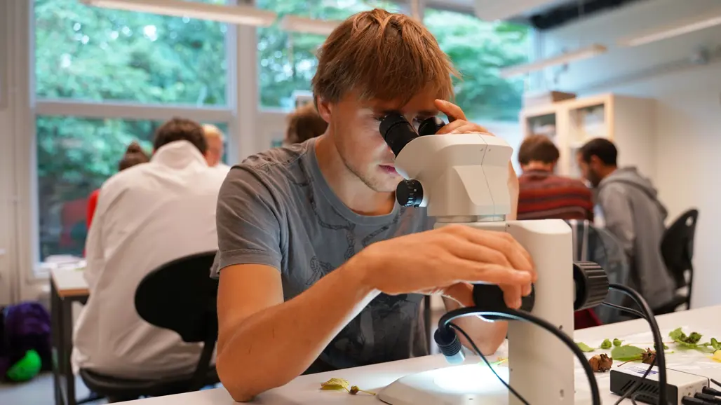 En student i ett labb