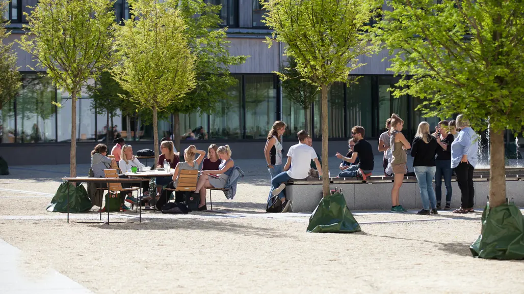 Students at Ultuna Student Union