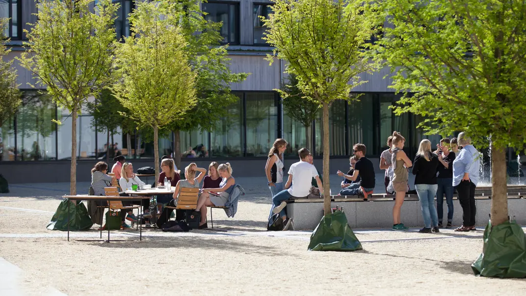 Studenter äter lunch i solen på Campus Ultuna, foto.