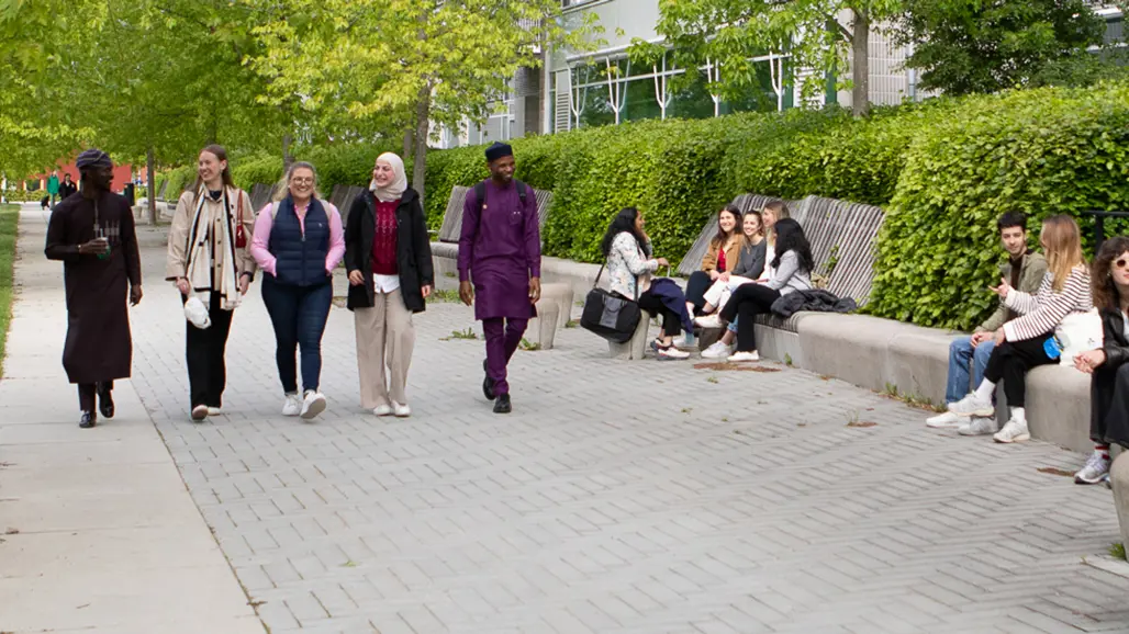 Students walking on a pathway surrounded by trees.