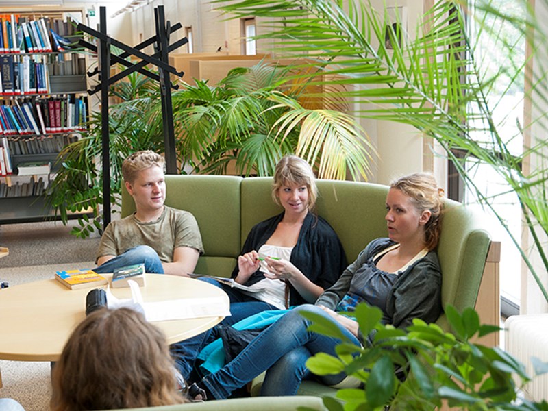 Studenter sitter i soffgrupp i biblioteket och pluggar, foto.
