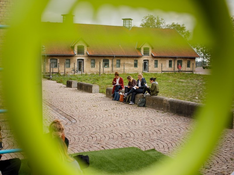 Students sitting on stone wall, photo.