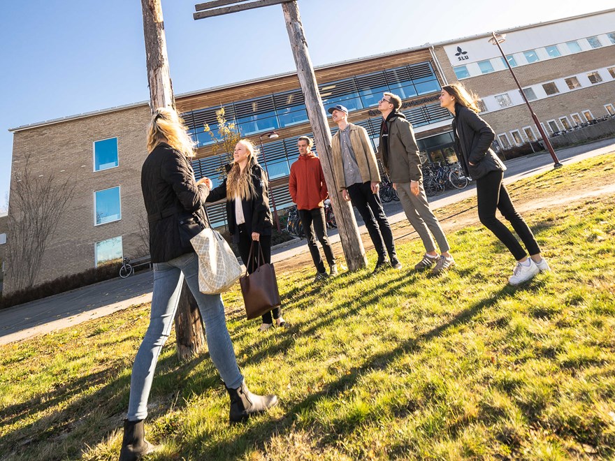 Students looking at a pillar. Photo