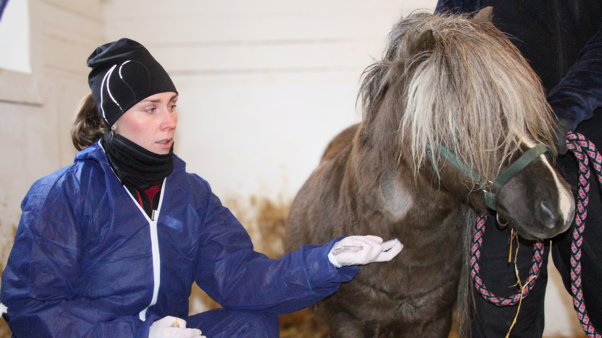 Woman in blue clothes and black hat sitting next to a brown horse.