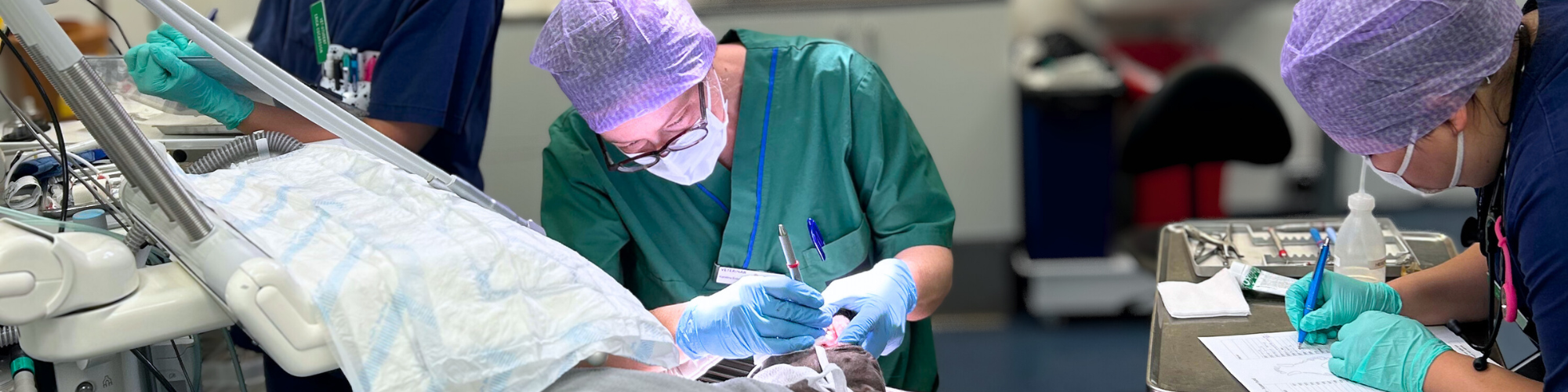 Person iklädd gröna sjukvårdskläder, munskydd och mössa som utför en operation. 