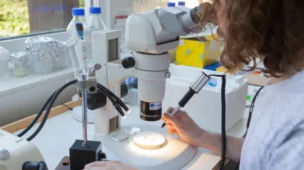 Woman looking in a microscope